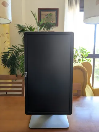 Monitor DELL 20" regulable en altura