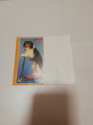 Pegatinas vintage revista Tele Indiscreta pippin