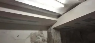 Pladurista diseñador