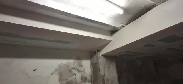 Pladurista diseñador