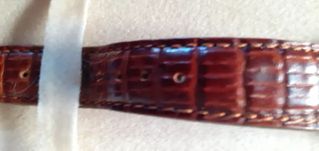 Reloj Festina Rectangular Marrón y Plateado