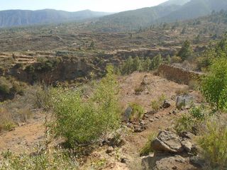 Terreno en venta en Arafo