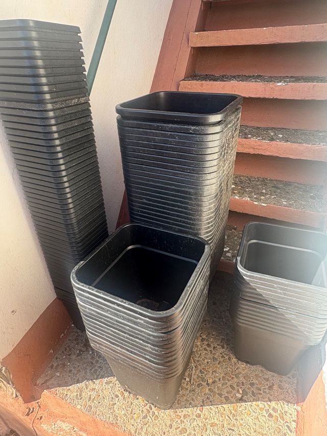 Lote de macetas de cultivo cuadradas