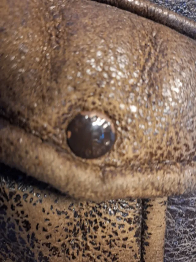 Cazadora Bomber Schott Piel Marrón Talla L