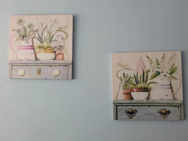 2 Cuadros Decorativos Florales