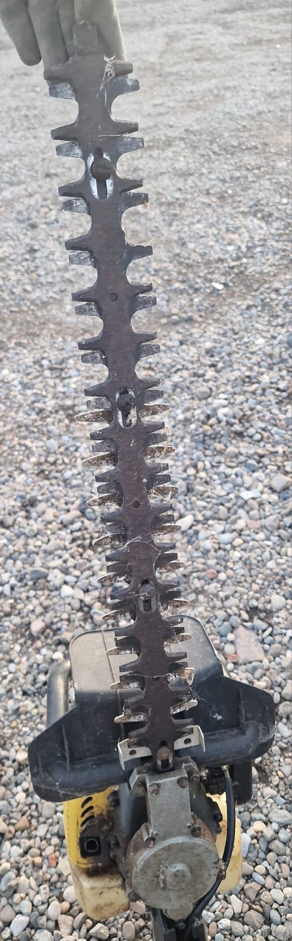 Cortasetos Alpina HT55