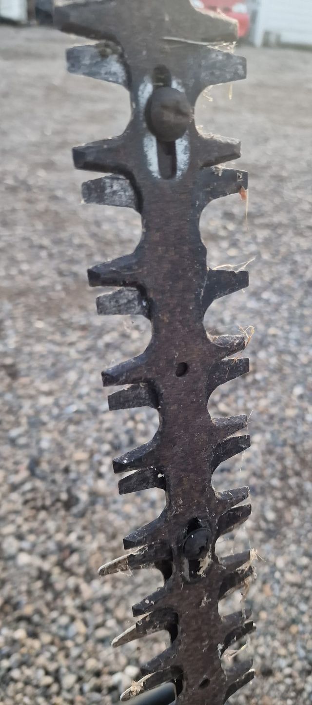 Cortasetos Alpina HT55