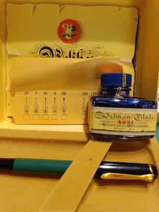 Set Penna Pelikan M150/481 + Inchiostro pennino F.