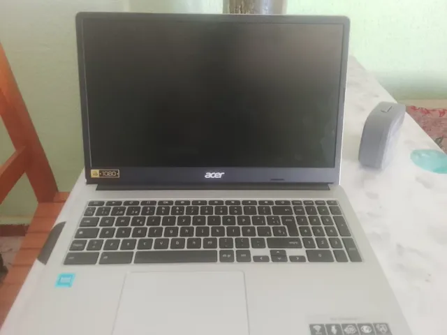Acer Chromebook 315 Plata Con Cargador Original