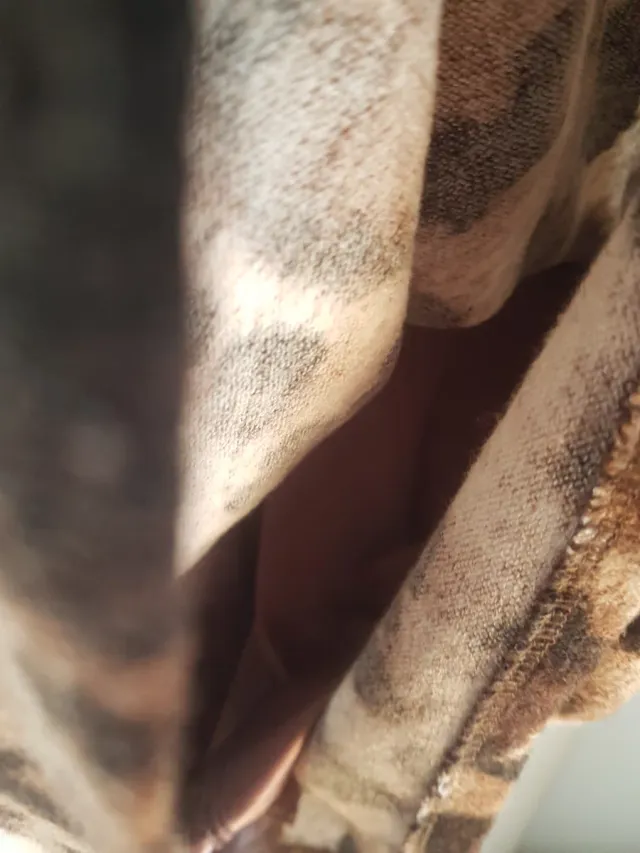 Vestido BDBA Talla L Animal Print