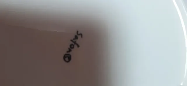 Lote de platos de porcelana decorados