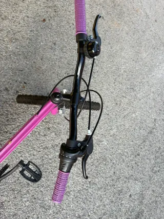 Bicicleta Morada Infantil