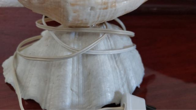 Sets 2 Lámparas Caracola