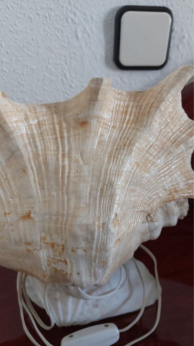 Sets 2 Lámparas Caracola