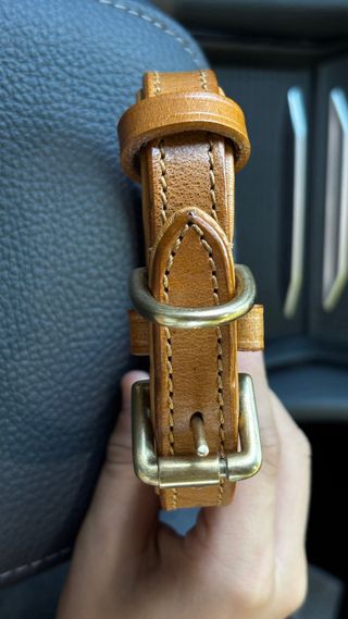 Collar de cuero para perro pequeño 30cm de largo