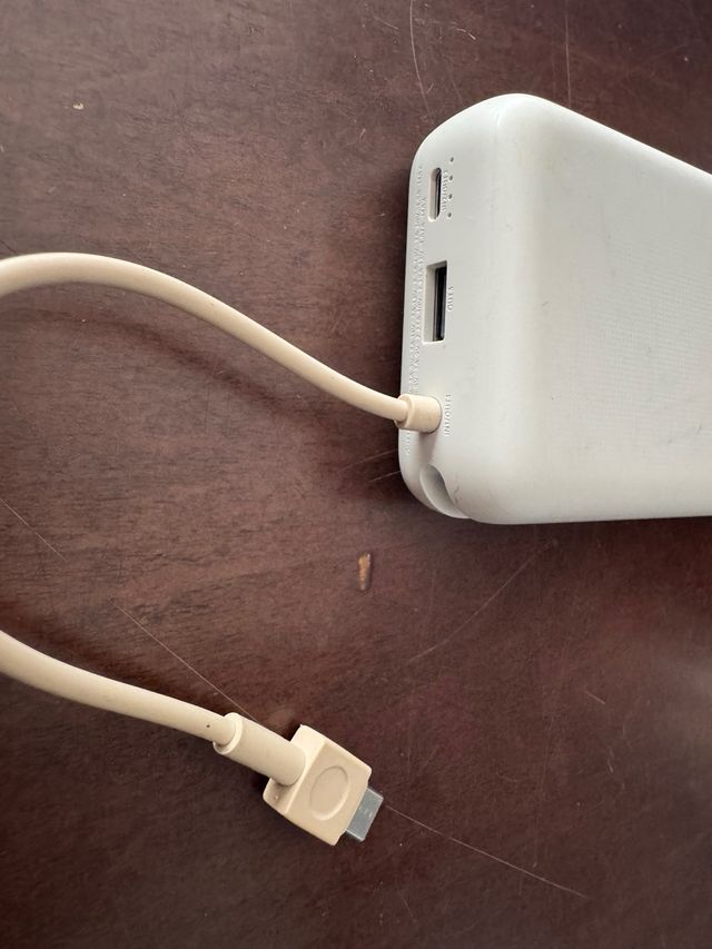 Powerbank Xiaomi 20.000 mAh con ricarica rapida!