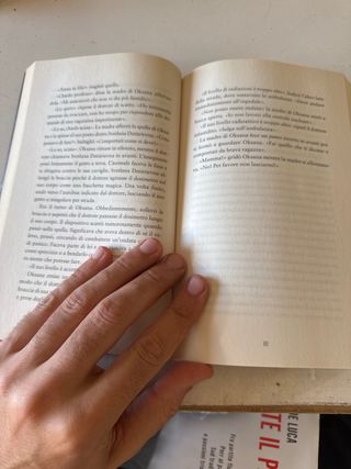 Blackbird. I colori del cielo (Biblioteca Junio...