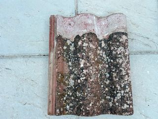 Tejas antiguas de barro