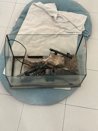 Tartarughiera con accessori