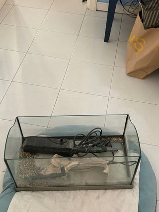 Tartarughiera con accessori