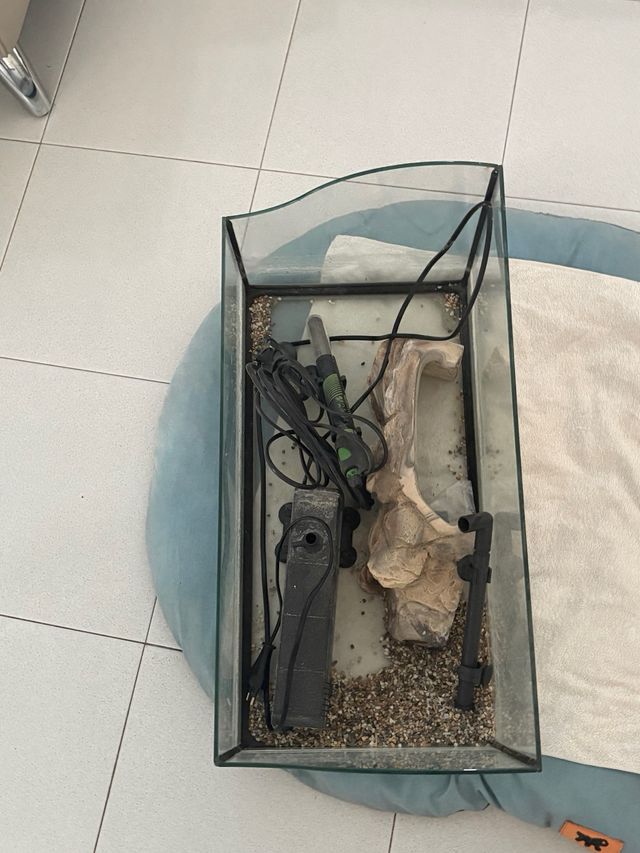 Tartarughiera con accessori