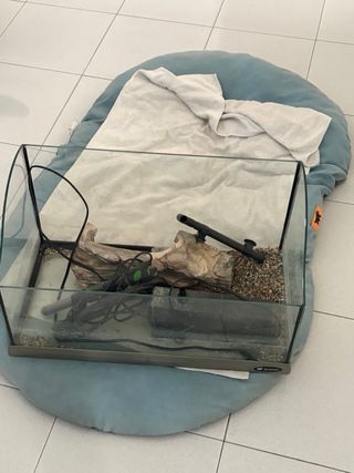 Tartarughiera con accessori