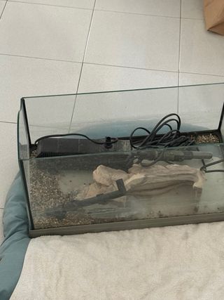 Tartarughiera con accessori