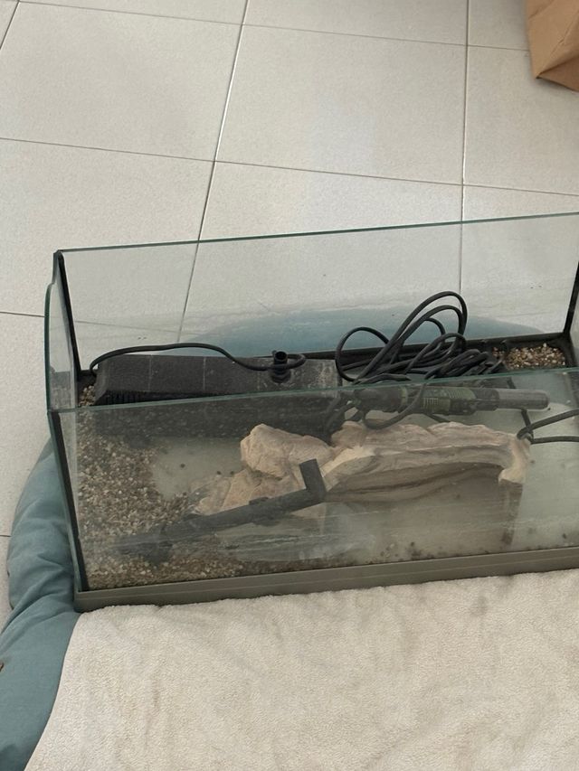 Tartarughiera con accessori