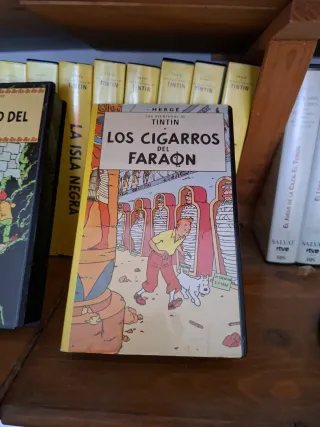 Lote 22 VHS Las Aventuras de Tintín