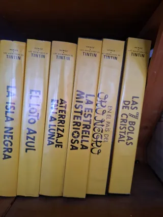 Lote 22 VHS Las Aventuras de Tintín