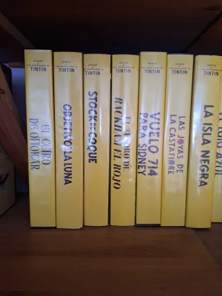 Lote 22 VHS Las Aventuras de Tintín