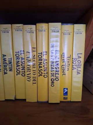 Lote 22 VHS Las Aventuras de Tintín