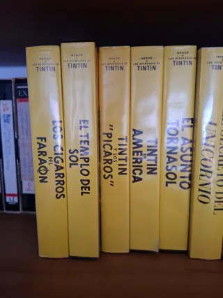 Lote 22 VHS Las Aventuras de Tintín