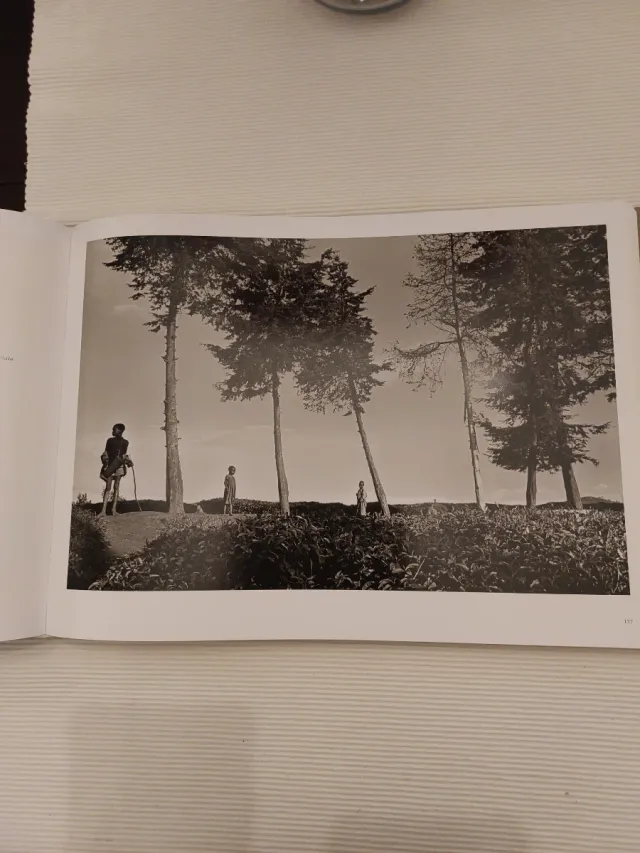 AFRICA SEBASTIAO SLGADO