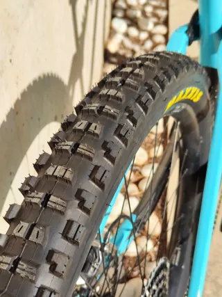 M-LTD ORBEA RALLON M-LTD 2025