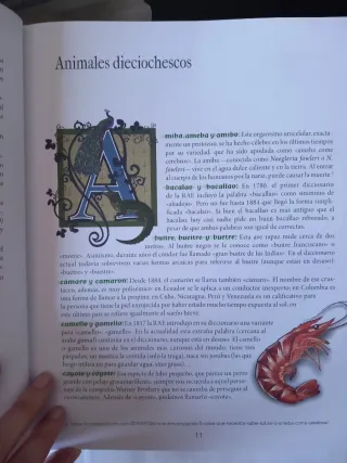 Ortografía ilustrada: El libro para mejorar la ...