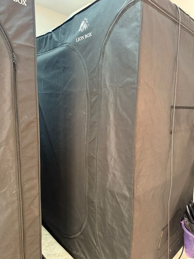 Armario cultivo LION BOX tela negro