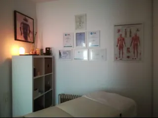 Masajista Profesional Titulado