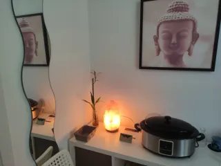 Masajista Profesional Titulado