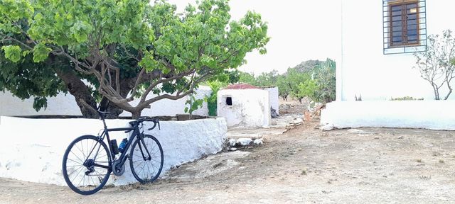 Cannondale CAAD 10 Carretera T.S