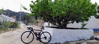 Cannondale CAAD 10 Carretera T.S