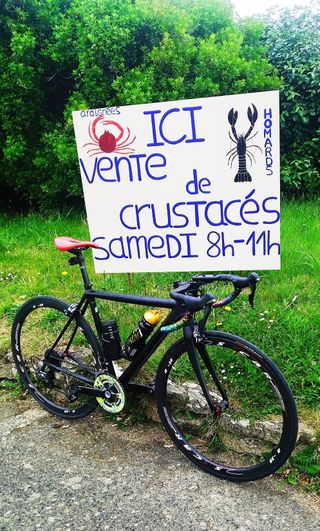 Cannondale CAAD 10 Carretera T.S