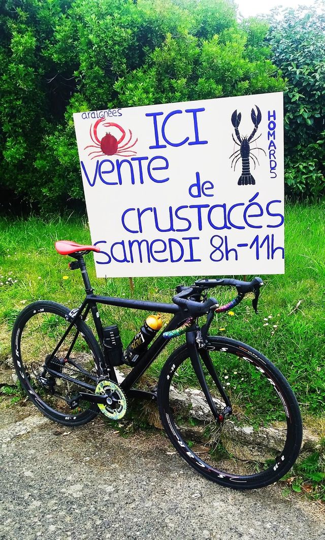 Cannondale CAAD 10 Carretera T.S