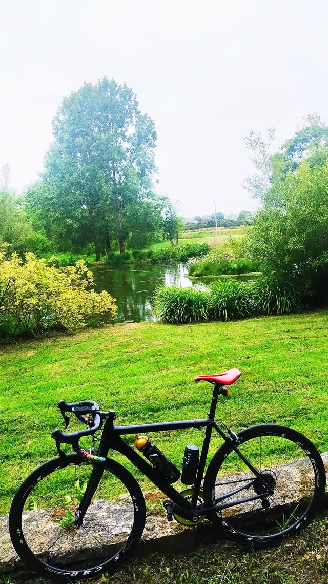 Cannondale CAAD 10 Carretera T.S