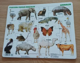 Puzzles Didácticos