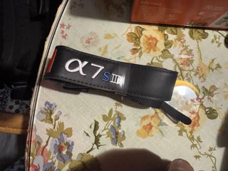 Sony Alpha a7 III Cuerpo Cámara