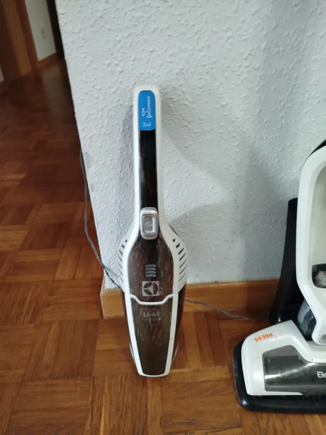 Aspiradora Electrolux Ergorapido