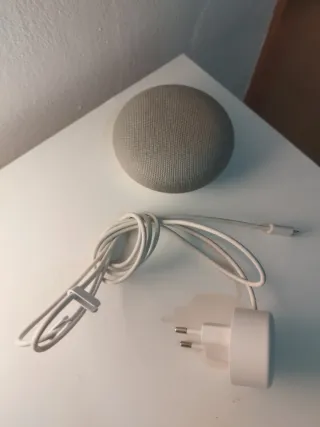 Google Home Mini Gris