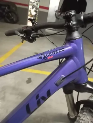 Bicicleta Giant Liv Tempt 2 (2020) Talla M