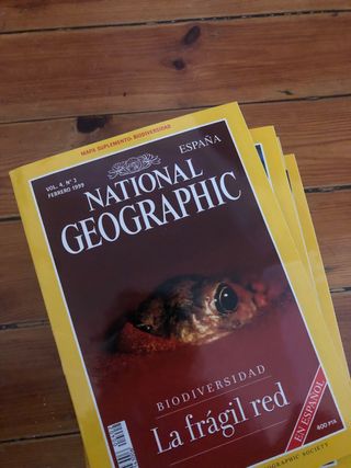 Revistas National Geographic 1999. 2euros ejemplar